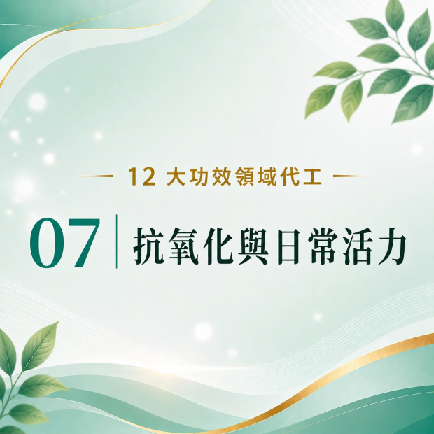 Image 2026年8月29日 下午11_55_36.jpg