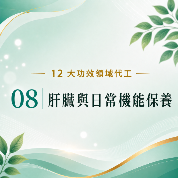 ChatGPT Image 2026年8月29日 下午11_55_39.png